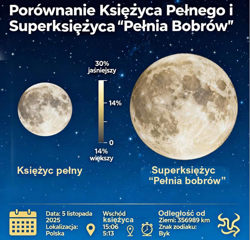 Porównanie rozmiaru Księżyca podczas Pełni Bobrów i zwykłej pełni listopad 2025 - superksiężyc 30% jaśniejszy 14% większy