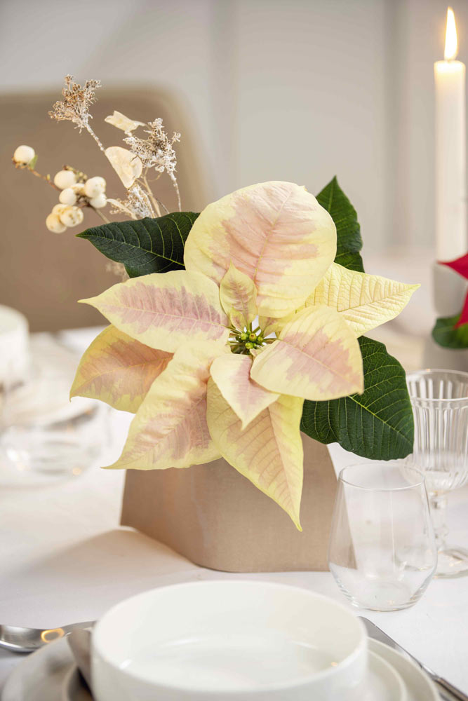 Wieczorna_oprawa_stolu