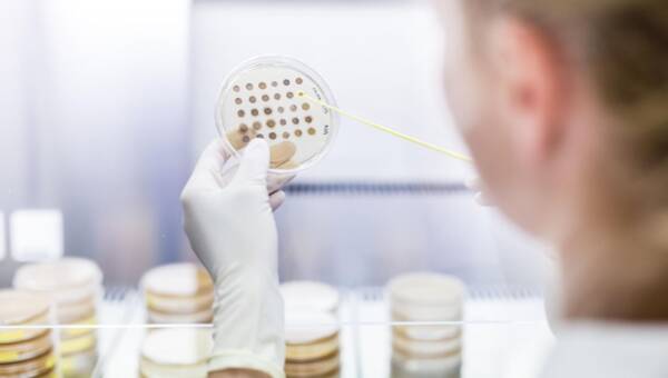 próbki żywności w laboratorium