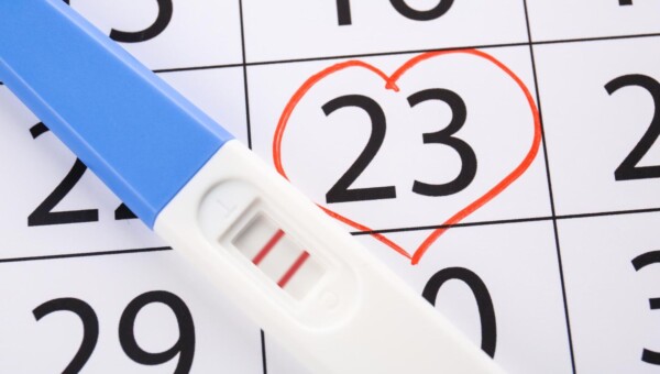 dni płodne kalendarz