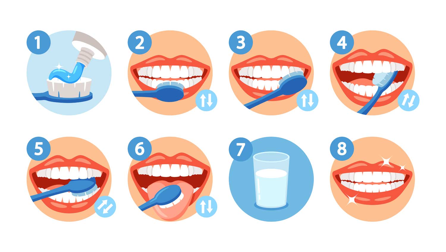 Jak prawidłowo myć zęby - infografika z instrukcją krok po kroku