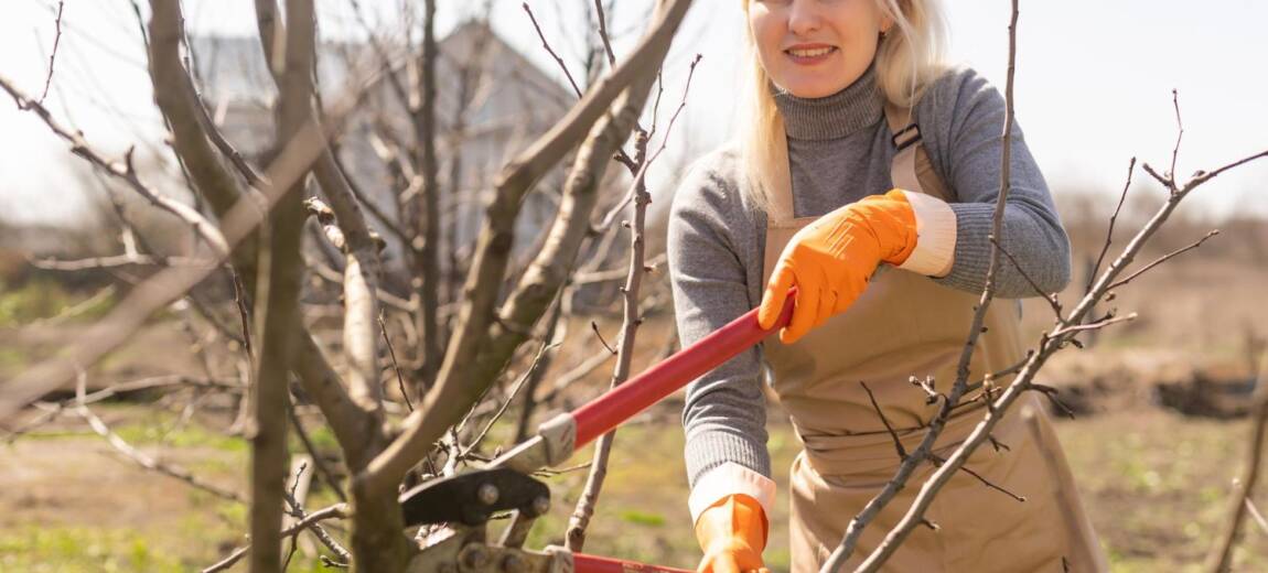 przycinanie drzew wczesna wiosną