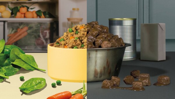 Karma jest spalona. Cała prawda o tym, co je Twój pies