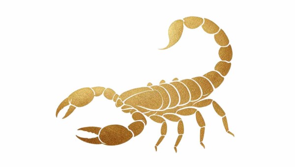 Horoskop tygodniowy Skorpion 27 lipca–2 sierpnia 2026 – miłość, praca, finanse i zdrowie