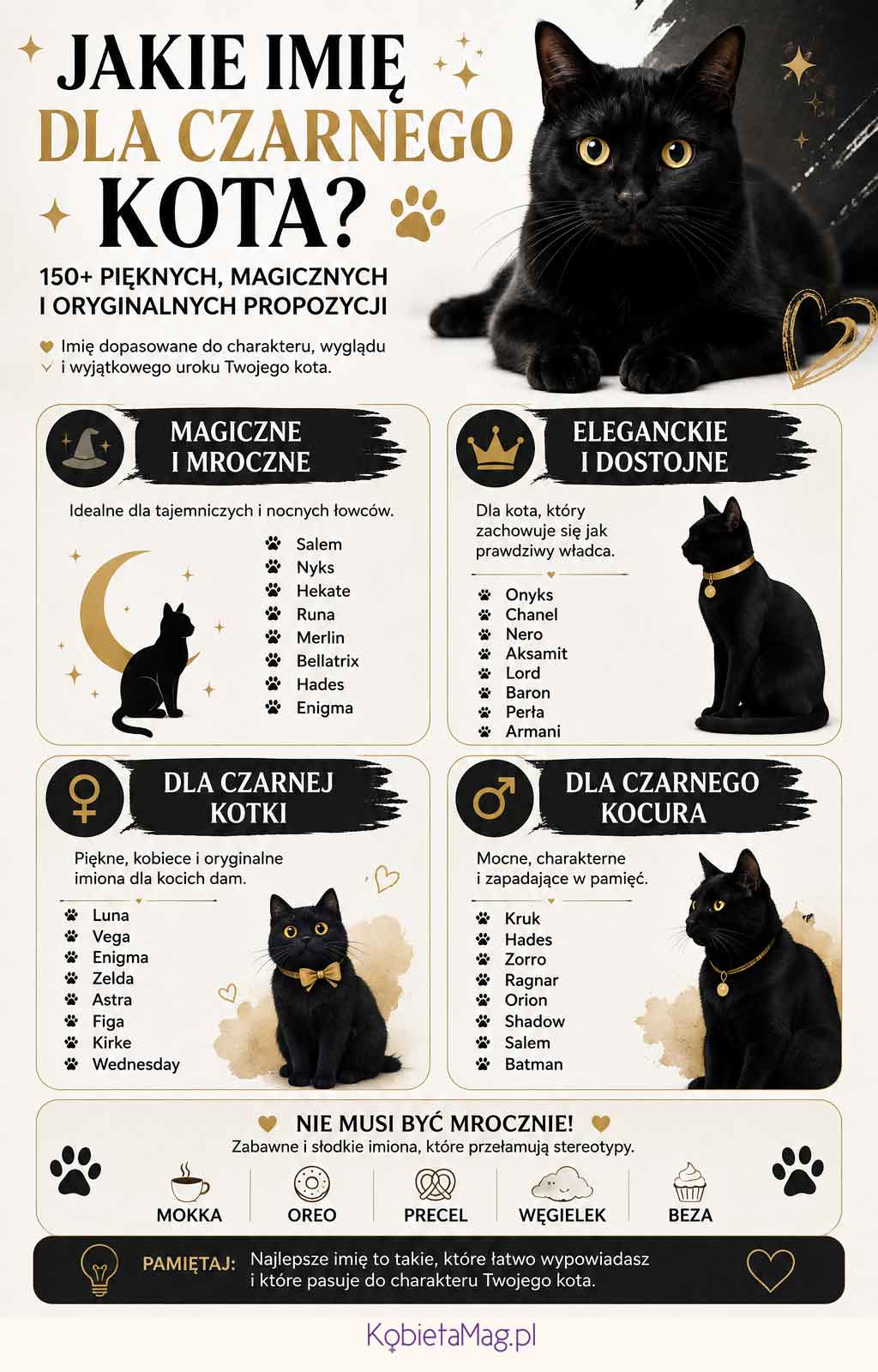 infografika z propozycjami imion dla czarnego kota