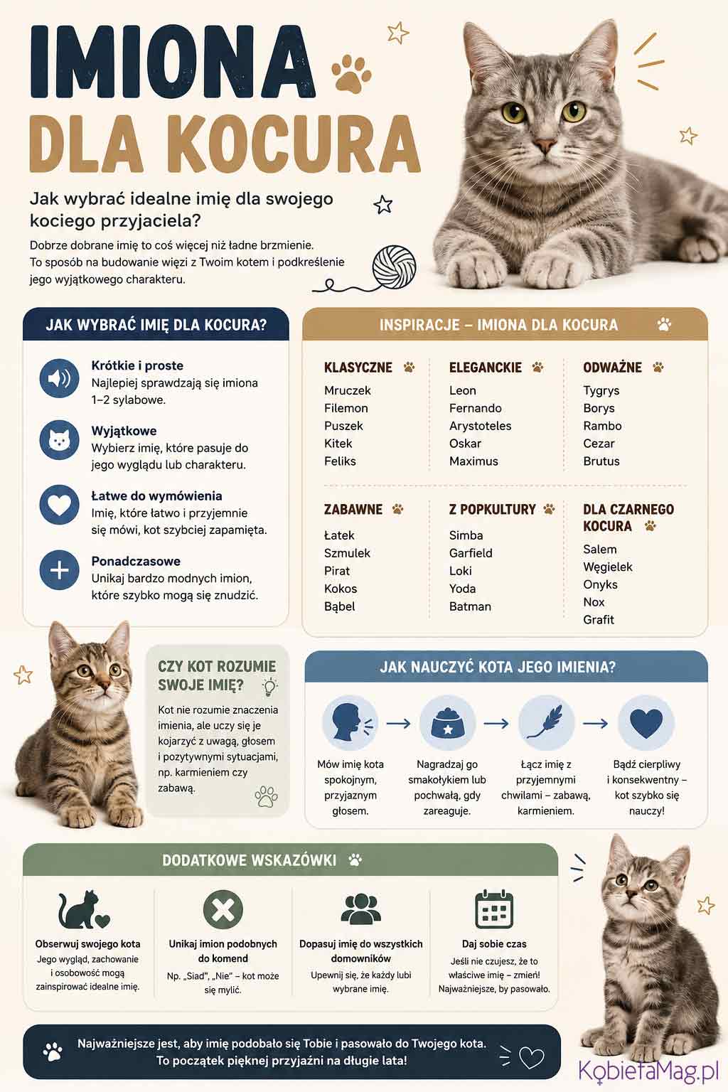 infografika z propozycjami imion dla kocura