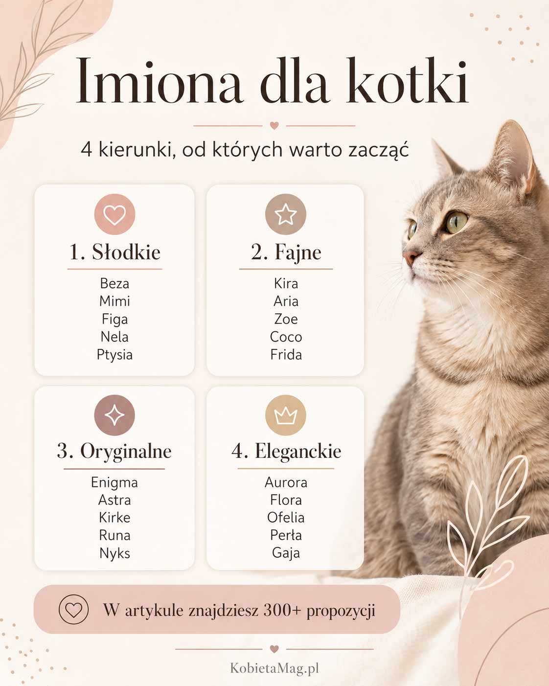 infografika z propozycjami imion dla kotki