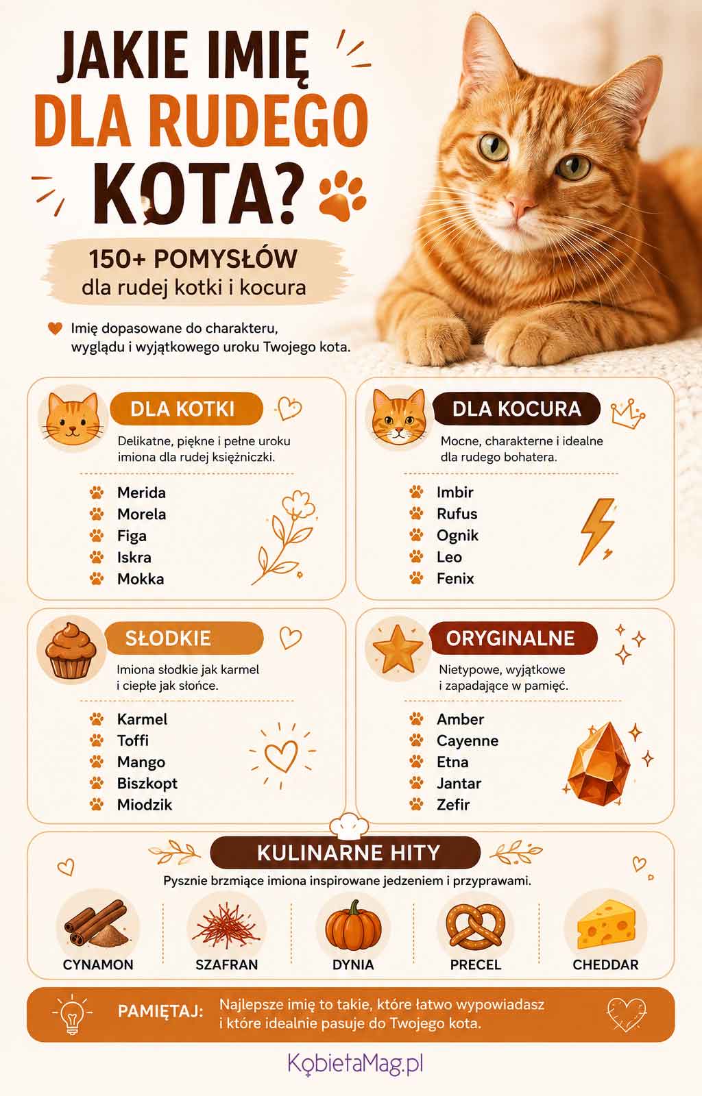 infografika z propozycjami imion dla rudego kota
