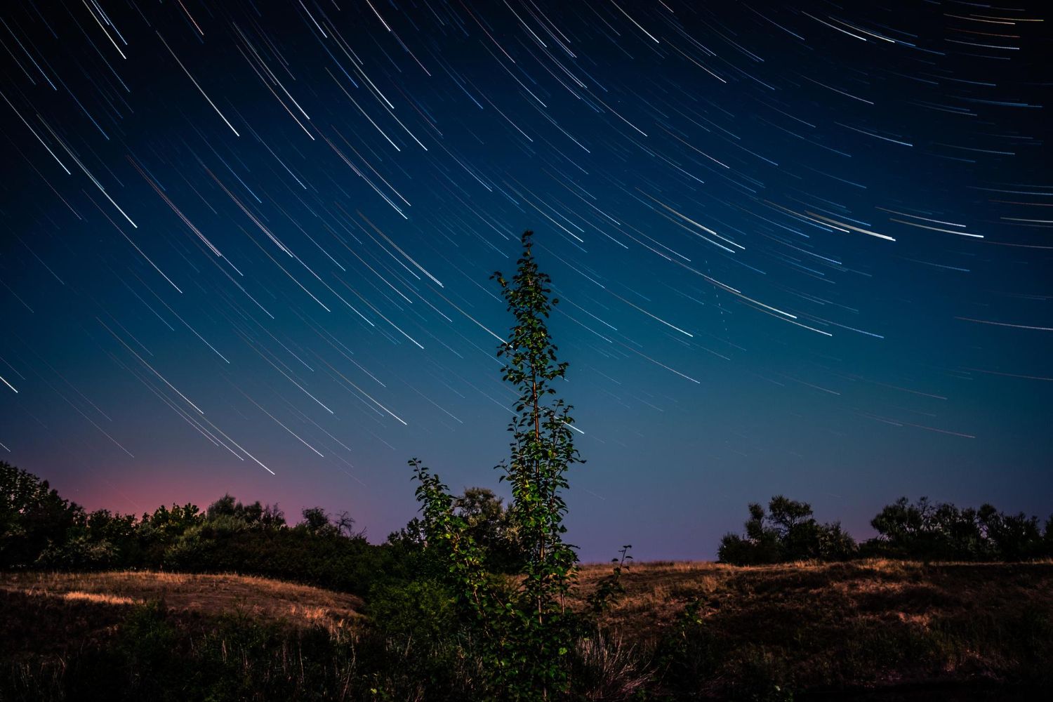 noc perseidów