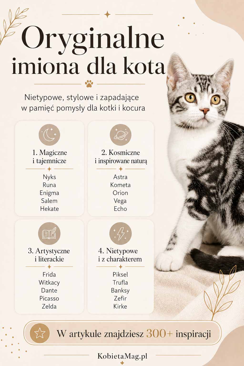infografika z oryginalnymi imionami dla kota