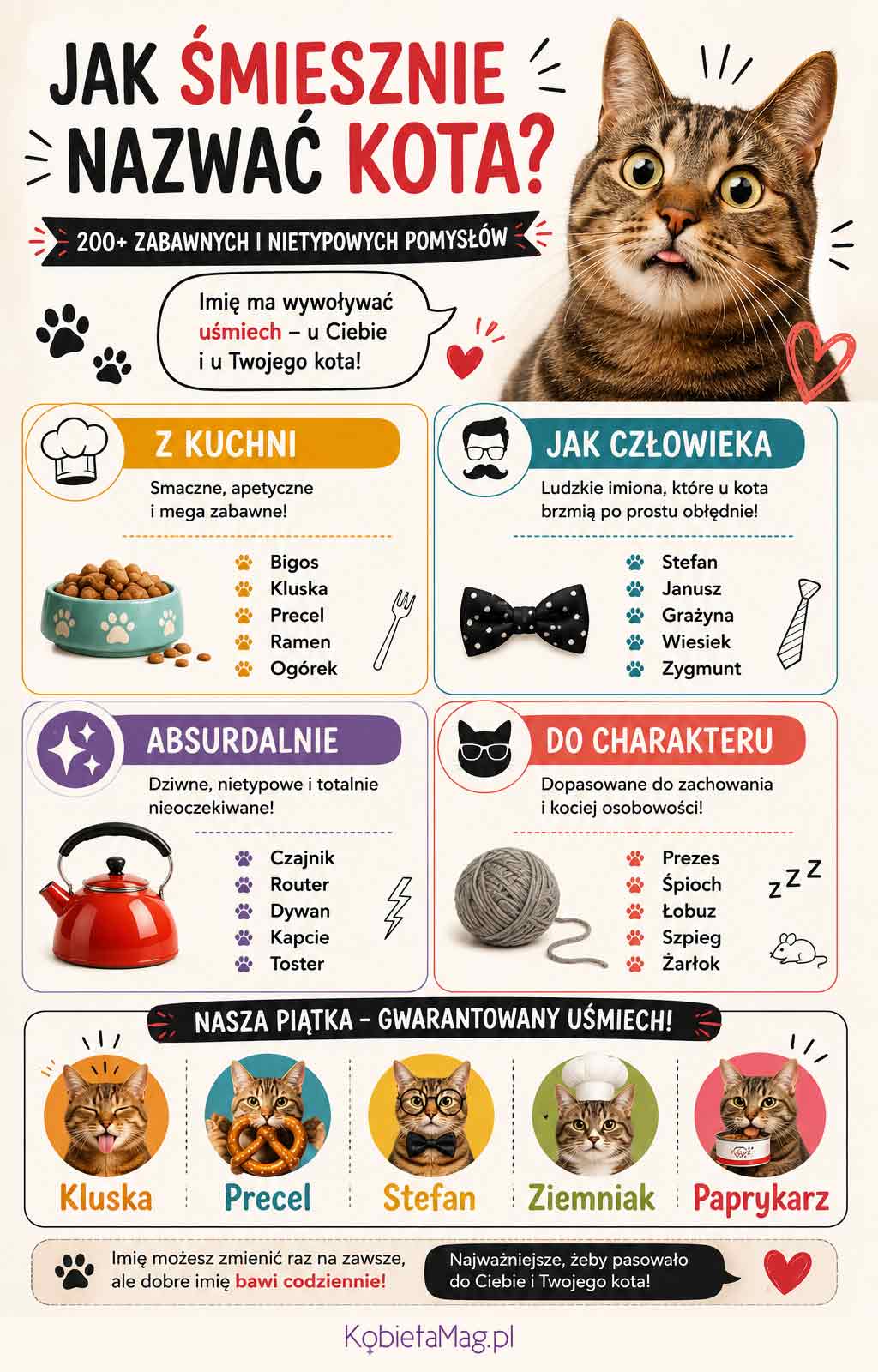 infografika ze śmiesznymi imionami dla kota