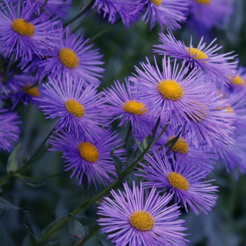fot. freepik
