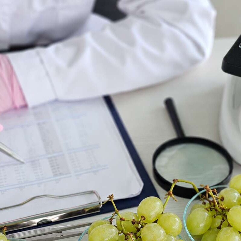 Nawet 16 pestycydów w winogronach z marketu. Sprawdzono Aldi, Lidl, Kaufland i Biedronkę
